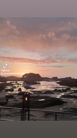 video-914f6b996d51b7288fdc27596988d2f7-V