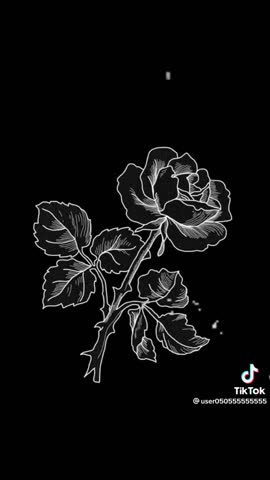 13a961b26aea1ad9a28dffe141476286