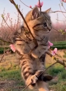 F0GiTuBpv6PAW9gKFQYnZGsfcvow8GFqYZv3r2URqGFiwK7Qz81K20uPjSufFEENeoun5bRoaTCpcLdJmoYw6OYd