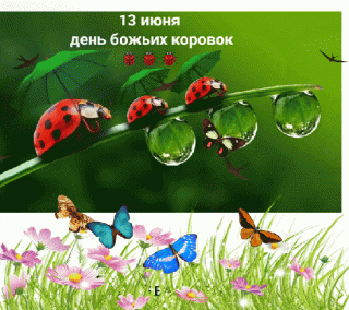 GIF-2093cbe760bfd864dad95c47feeea007