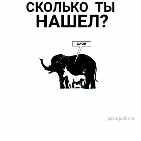 whatsaper_-Сколько-ты-нашел