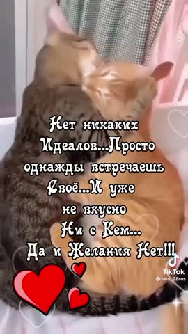 805a4e52c5b76f1a219b298680880ca8