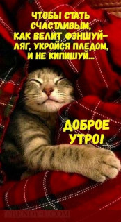IMG-02c8aba379b37eea97cb3af7fdd63bc7