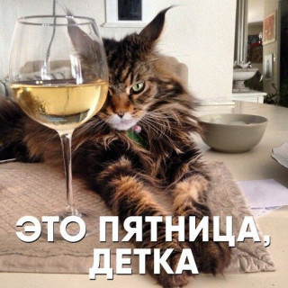 IMG-06810395a275150cb7ec08ec66bbecd2
