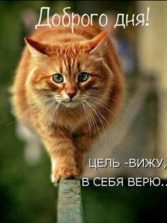 IMG-749ec970cf2fa5a51303aa907e227e12-