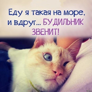 IMG-92597ee961c4602d6b3a93c8751ed83c