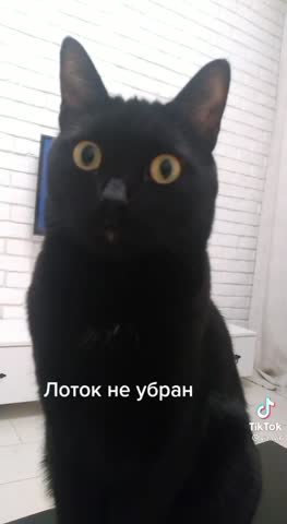 Наташа