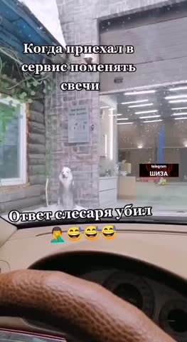 VID_20220619_070912_575