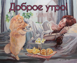 IMG-05b5eeb6511c679735126b7481c0e3af