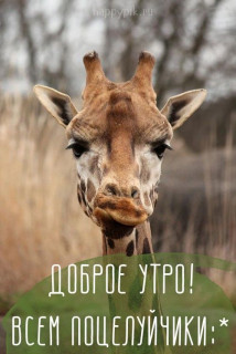 IMG-aa2a25e0625a3b29ccdd78b91f1c6034