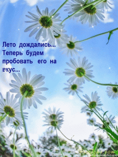 GIF-2d2b53cfccfadb6d1d8c90a0a7695f04