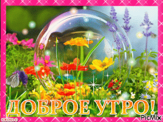 GIF-e82f20a5a552cefbea5172df7013356a