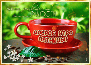 GIF-a2c0fe5a0ca3cd8eca257d881597bbe3