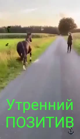 Утренний Позитив