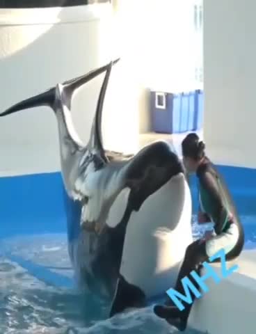 Позитивчик