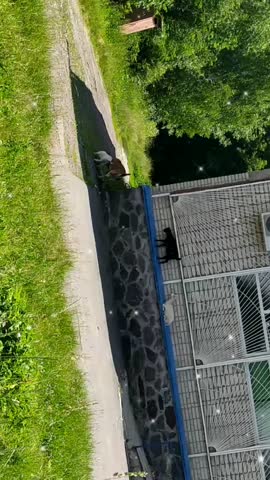VID_20220628_114425