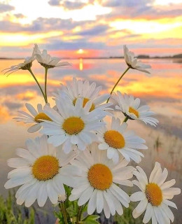 FB_IMG_16573509304621123