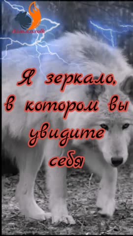 d_i_m_o_n_volk_20220709_1