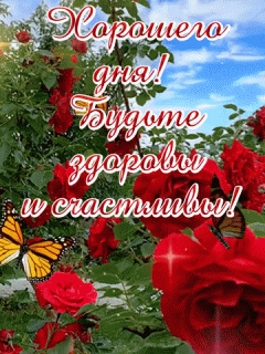 GIF-88ec762acd7aae3a7a972435b973cac5