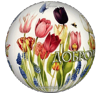 GIF-5e50be9bb199c6544350dad826027bad