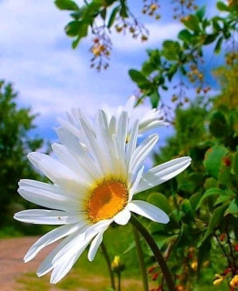 FB_IMG_16582217030368517