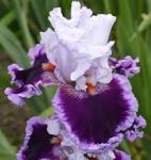 images-18