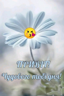 FB_IMG_16585812131576706