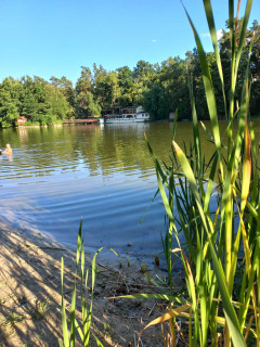 IMG-2625061848aa1ec3ef9601452d9716ff-V