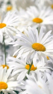 FB_IMG_16586704074145894