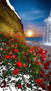 GIF-a8beabce2f3aacdb5299e4fc2321dfc3