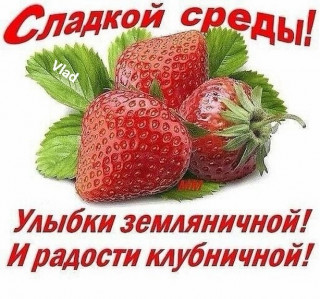 OJTfTarpd3o