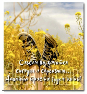 HaHbSGHX0bY