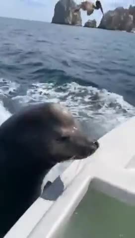 VID_20220711_220518_952