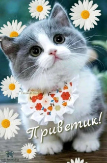 FB_IMG_16591123140342986