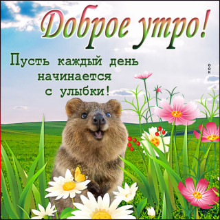 IMG-002529a68a8423ece9f6c96d7fc72d75-V