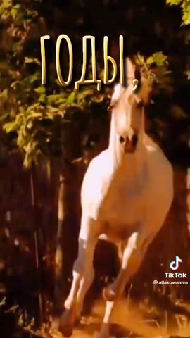 5afbe02fbd4a7c4fbd2b35de049619d6