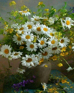 FB_IMG_16592898198087077