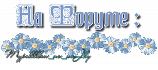 на форуме