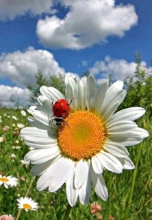 FB_IMG_16597318511450252