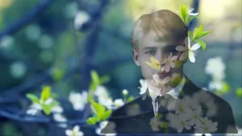 vecher_chernye_brovi_napil__-_me