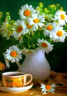 FB_IMG_16597824120394736