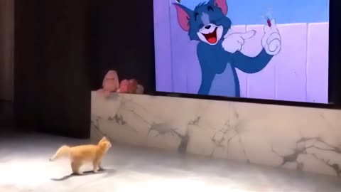 Прикол