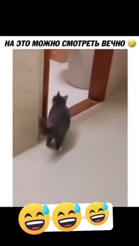 Прикол