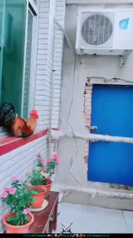 Будить хозяина
