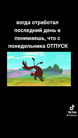 d02c631caacab71321cb6d99ad456f7e