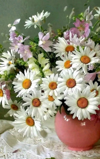 FB_IMG_16601448452170636