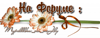 на форуме