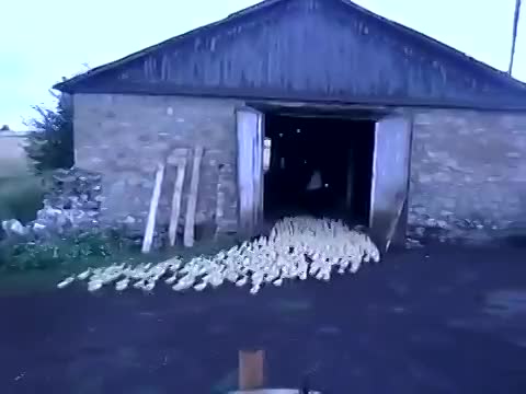 Улет