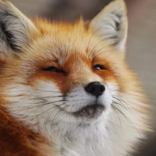 5O_GJmVyhvI