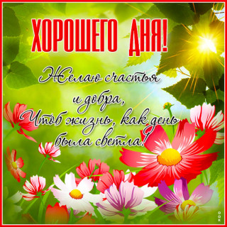 IMG-3b18803c55cc39dda6ec1a1a50d153b6-V